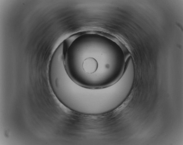 X0000091341438200708241213