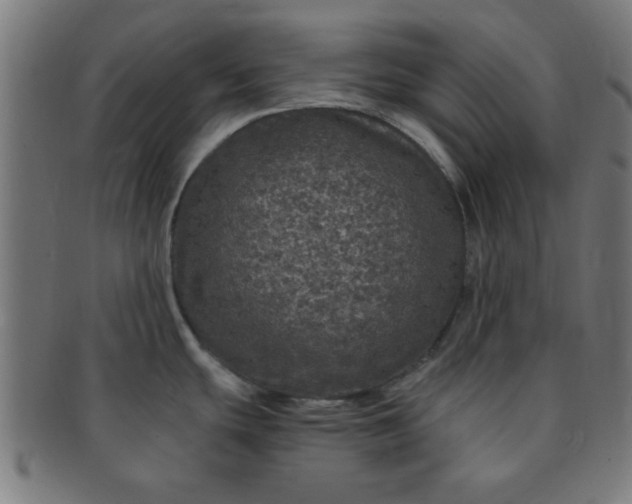 X0000091341439200708241213