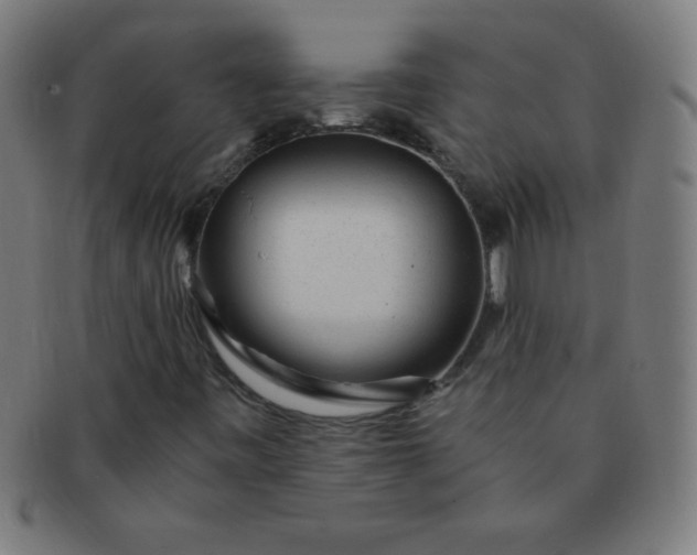 X0000091341443200708241213