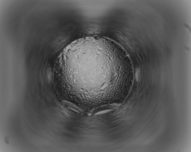 X0000091341444200708241213