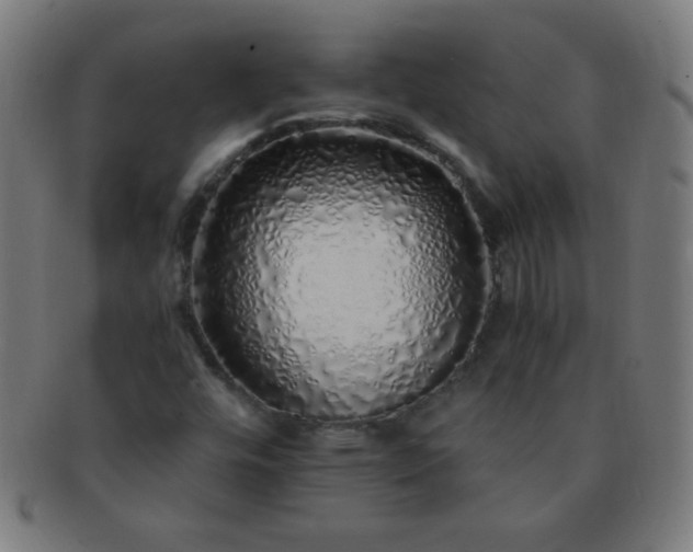 X0000091341448200708241213