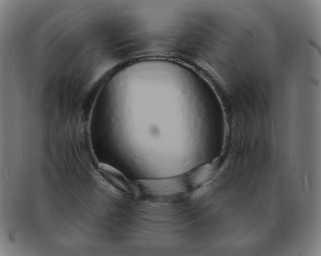 X0000091341450200708241213