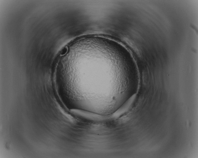 X0000091341452200708241213