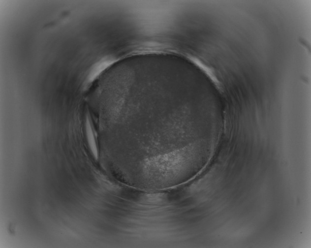 X0000091341453200708241213