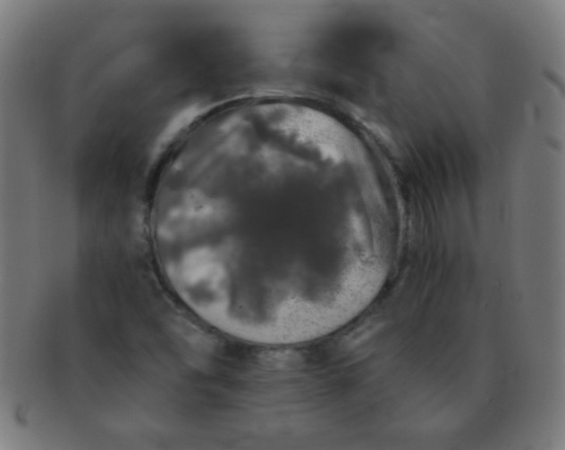 X0000091341454200708241213