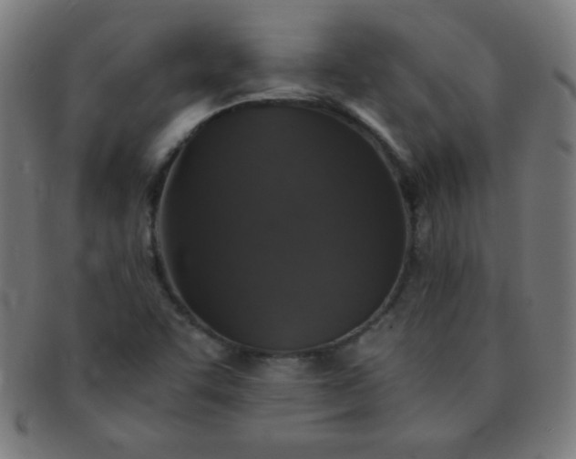 X0000091341455200708241213