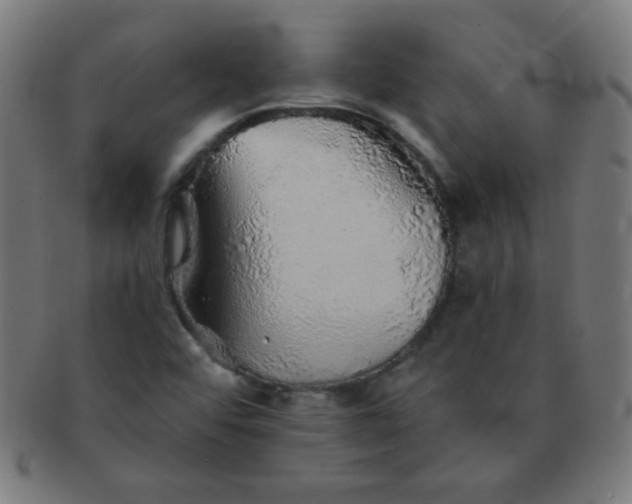 X0000091341456200708241213