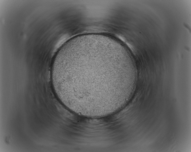 X0000091341459200708241212