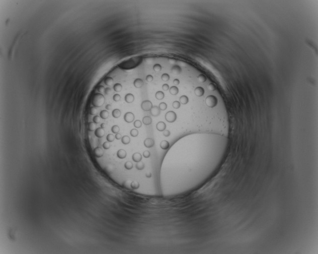 X0000091341467200708241212