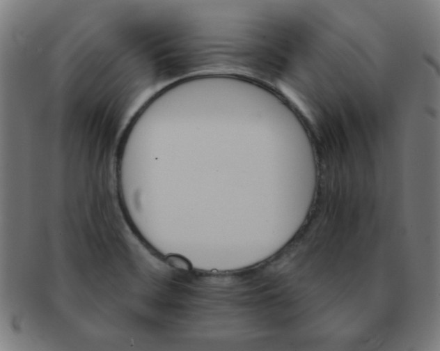 X0000091341468200708241212