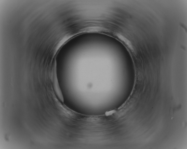 X0000091341473200708241212