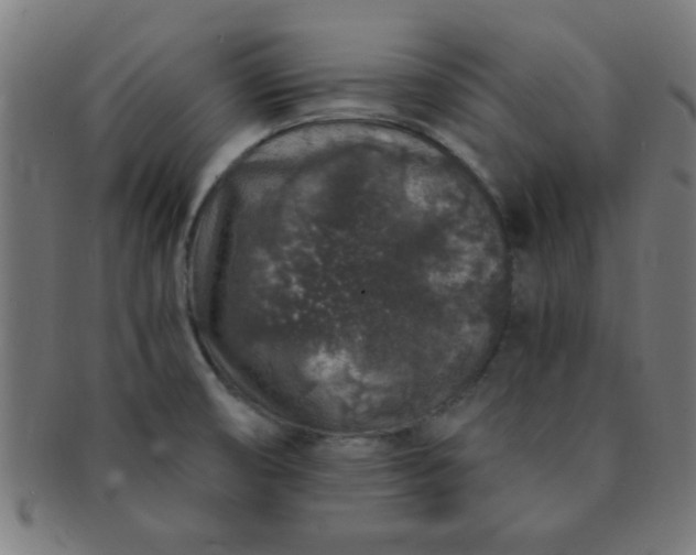 X0000091341474200708241212