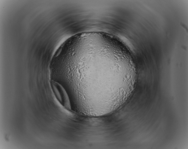 X0000091341476200708241212