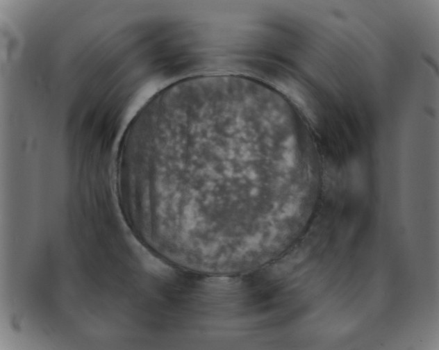 X0000091341478200708241212