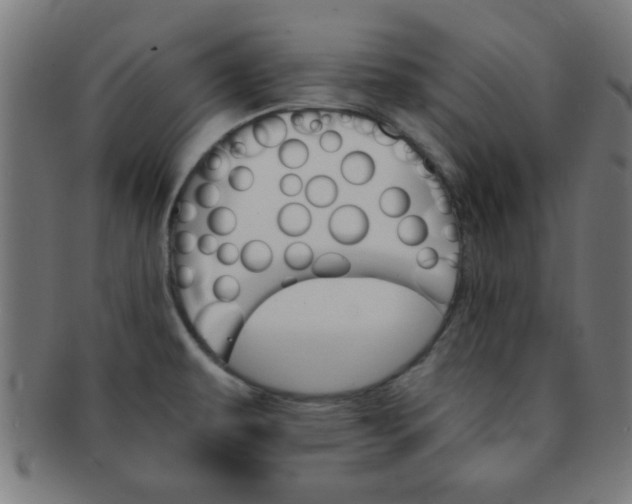 X0000091341479200708241212