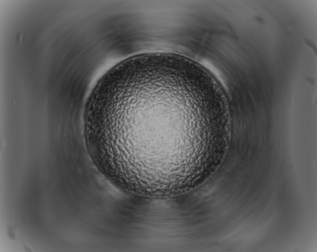 X0000091341480200708241212