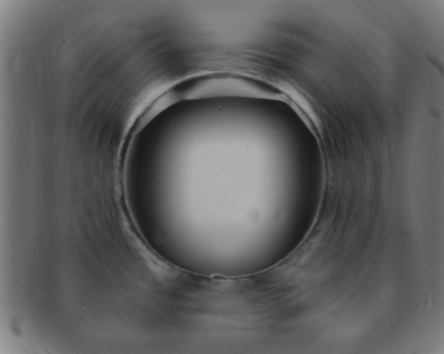 X0000091341485200708241212