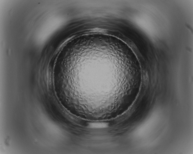 X0000091341487200708241212