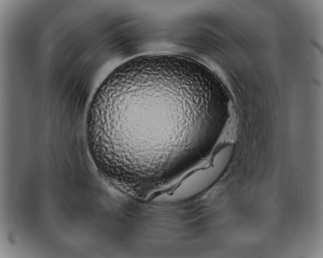 X0000091341488200708241212