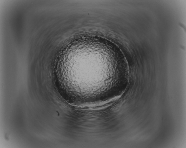 X0000091341489200708241211