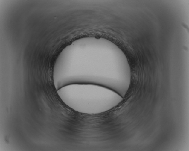 X0000091341490200708241211