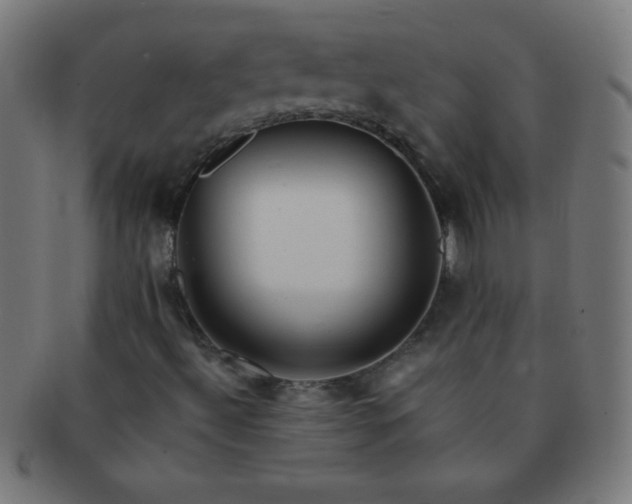 X0000091341492200708241211