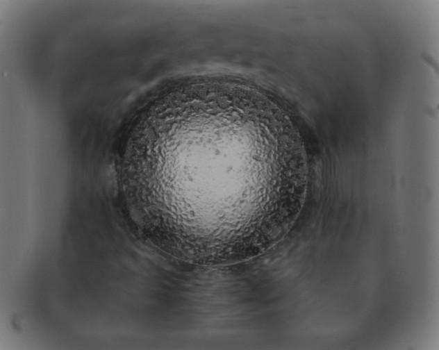 X0000091341493200708241211