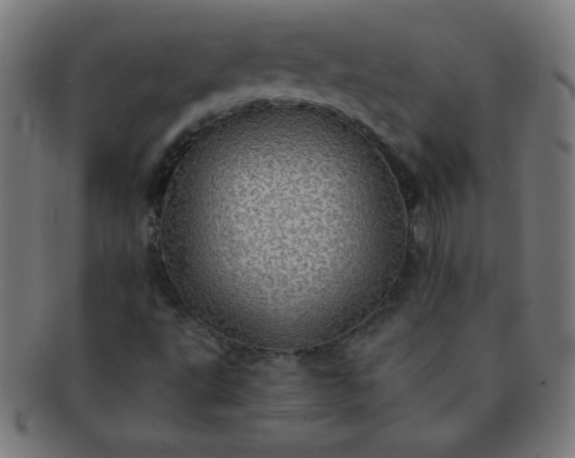 X0000091341495200708241212