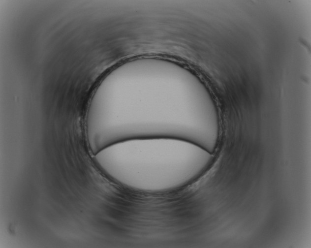 X0000091341497200708241212