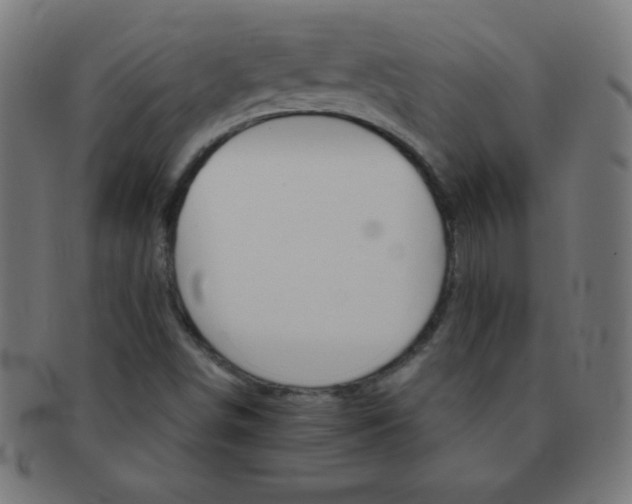 X0000091341498200708241212