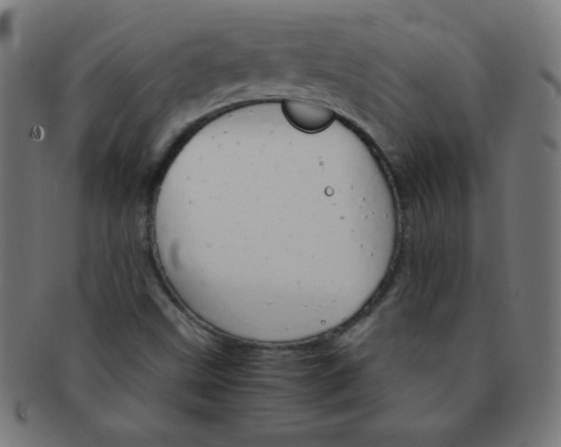 X0000091341499200708241212