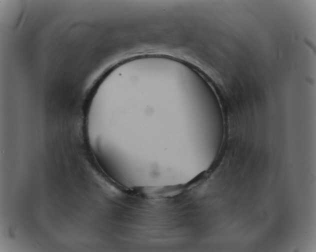 X0000091341502200708241212