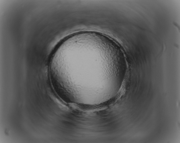 X0000091341503200708241212