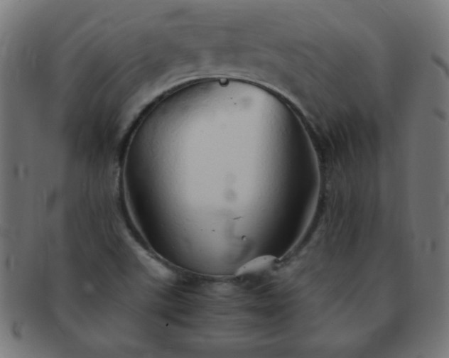 X0000091341507200708241212