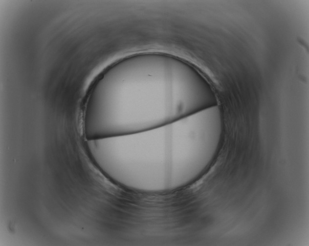 X0000091341510200708241212