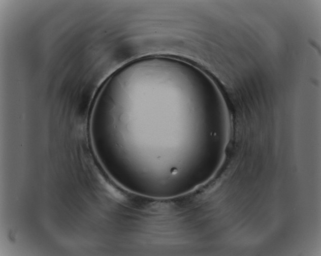 X0000091341513200708241212