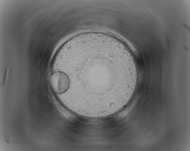 X0000091341514200708241212