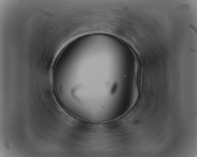 X0000091341516200708241212