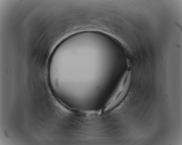 X0000091341518200708241212