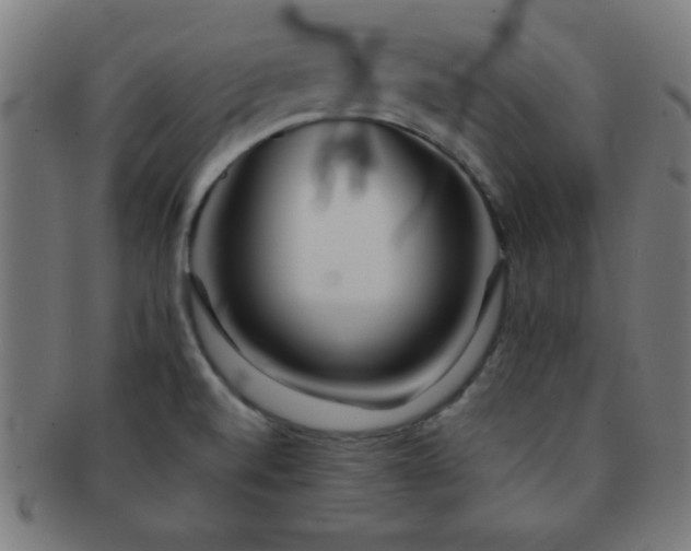 X0000091341520200708241212