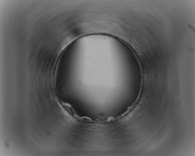 X0000091341521200708241212