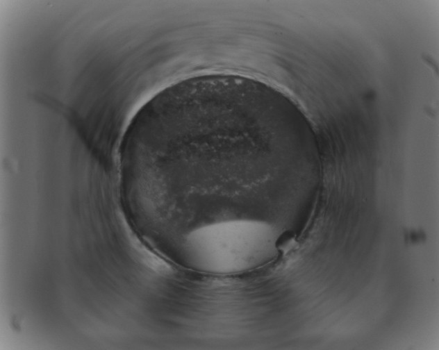 X0000091341522200708241212