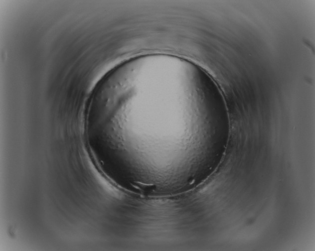 X0000091341523200708241212