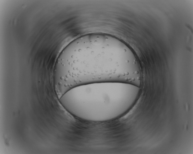 X0000091341529200708241212