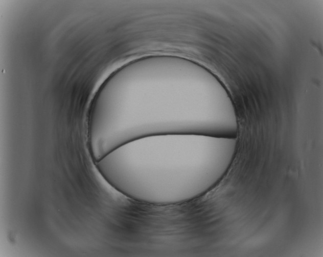 X0000091341531200708241212