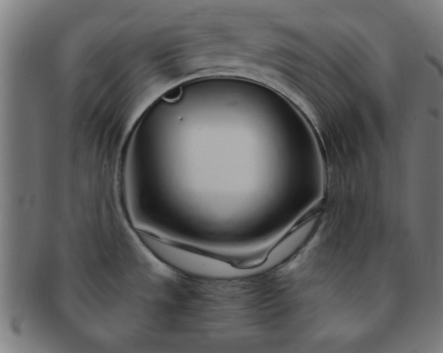 X0000091341533200708241212