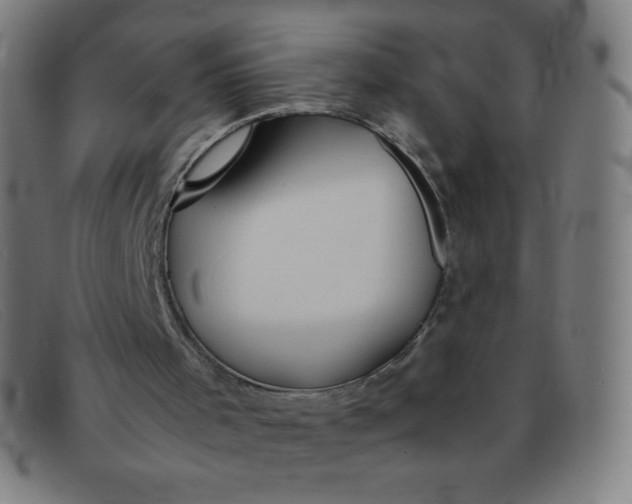 X0000091340001200708311506