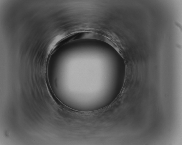 X0000091340003200708311506