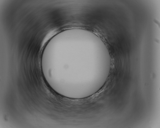 X0000091340004200708311506