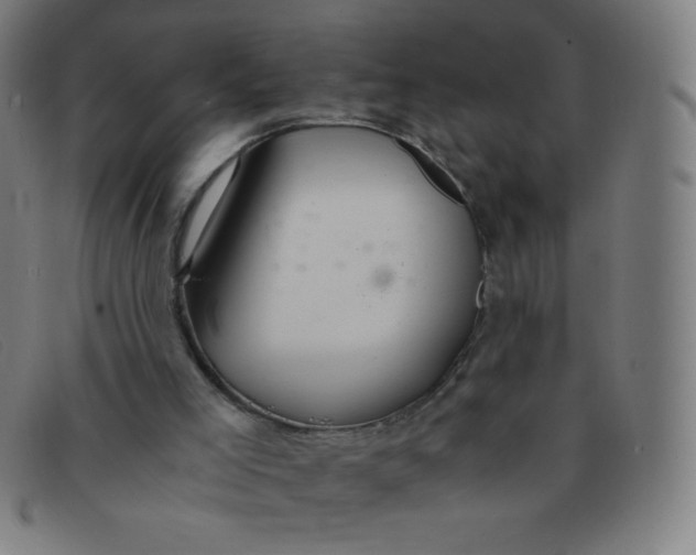 X0000091340005200708311506